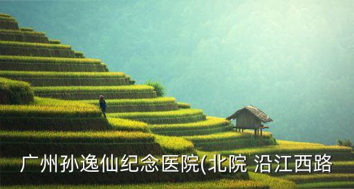廣州孫逸仙紀念醫院(北院 沿江西路