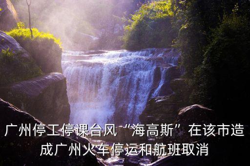 廣州停工停課臺風(fēng)“海高斯”在該市造成廣州火車停運(yùn)和航班取消