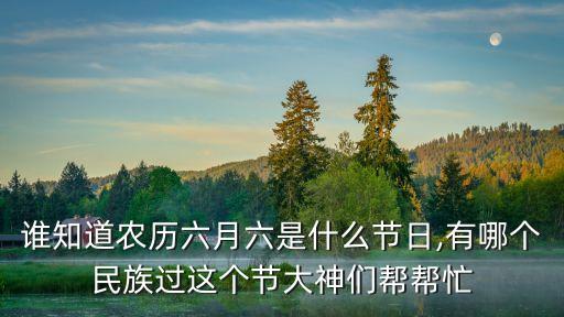 苗族六月六,六月六即農歷六月初六穿衣風與傳統活動有關