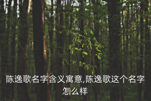 陳志光,陳逸歌名字含義逐個看