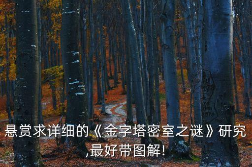 懸賞求詳細(xì)的《金字塔密室之謎》研究,最好帶圖解!