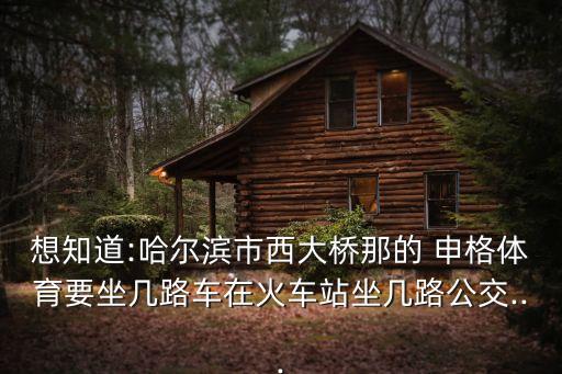 想知道:哈爾濱市西大橋那的 申格體育要坐幾路車在火車站坐幾路公交...