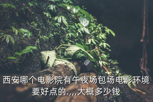 午夜場電影,第一次看午夜場電影西安哪個電影院有?