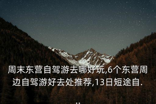 周末東營自駕游去哪好玩,6個東營周邊自駕游好去處推薦,13日短途自...