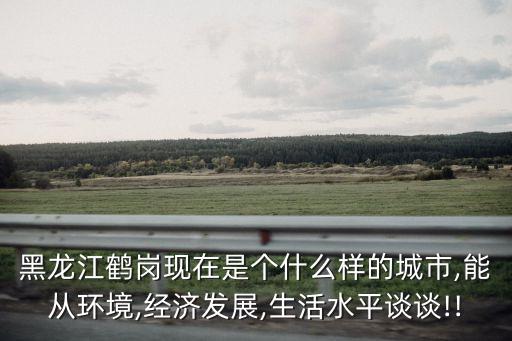 黑龍江鶴崗現在是個什么樣的城市,能從環境,經濟發展,生活水平談談!!