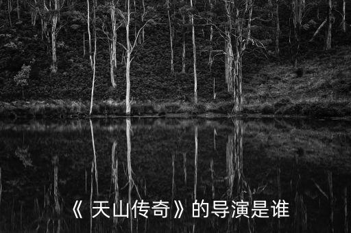 《 天山傳奇》的導演是誰