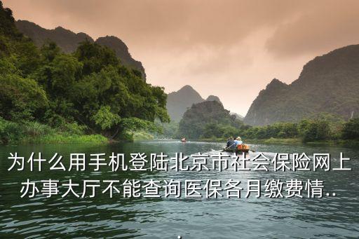 為什么用手機登陸北京市社會保險網上辦事大廳不能查詢醫保各月繳費情...