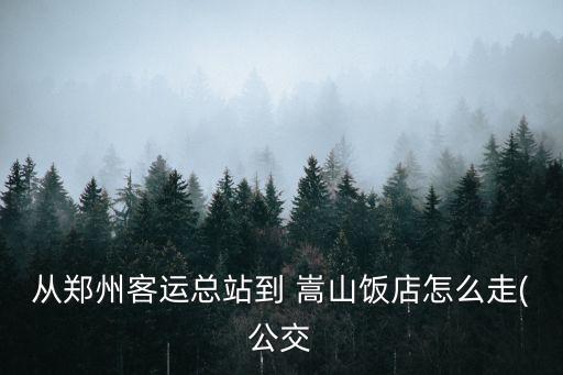 嵩山飯店,到嵩山飯店怎么走?公交線路46路