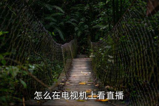 在看直播,怎么在電視機上看直播?點擊進去即可看