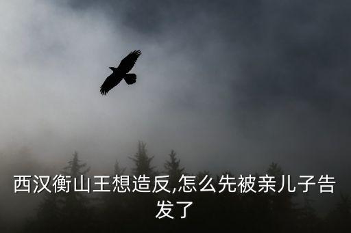 廬江王,劉安繼封淮南王劉賜封廬江王
