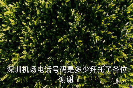  深圳機場電話號碼是多少拜托了各位謝謝