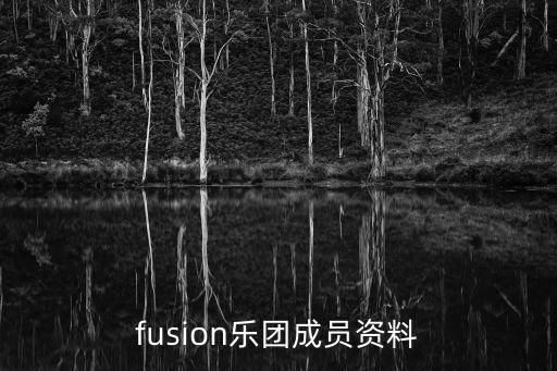 fusion樂團(tuán)成員資料