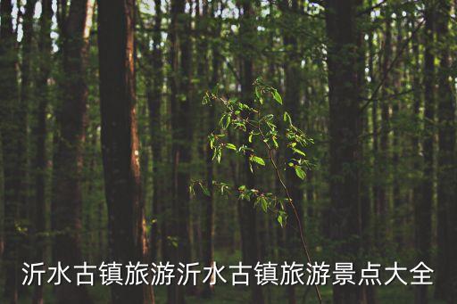 沂水古鎮旅游沂水古鎮旅游景點大全