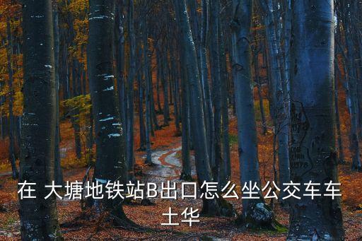 在 大塘地鐵站B出口怎么坐公交車車土華