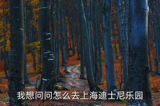 我想問問怎么去上海迪士尼樂園
