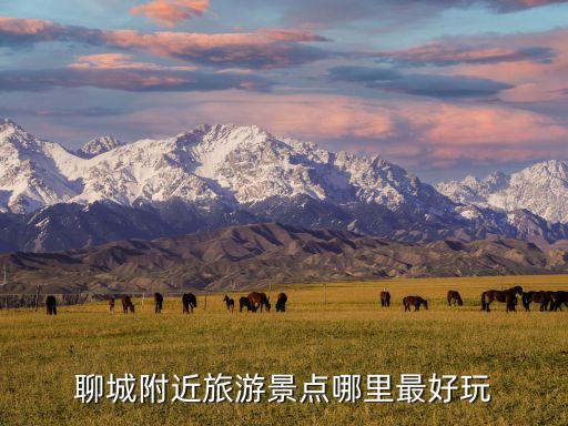 聊城附近旅游景點哪里最好玩