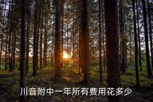 四川音樂學院附中,四川音樂學院附中是培養音樂家的搖籃!
