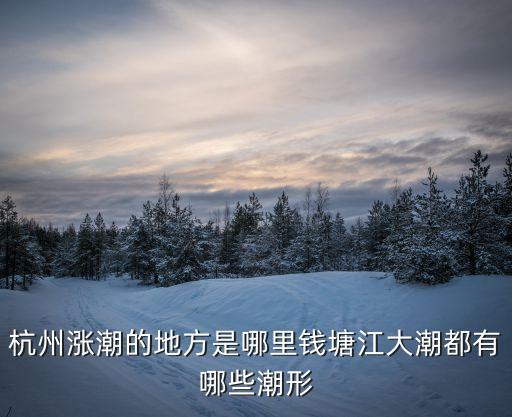 杭州漲潮的地方是哪里錢塘江大潮都有哪些潮形