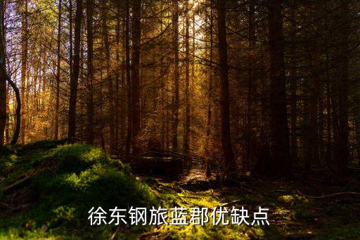 武漢徐東,從徐東到武漢怎么坐公交?