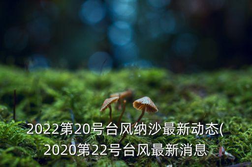 2022第20號臺風納沙最新動態(tài)(2020第22號臺風最新消息