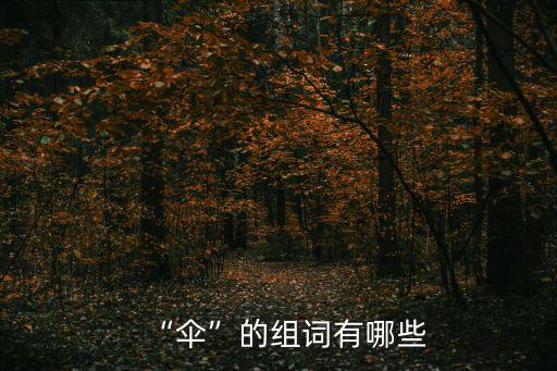 “傘”的組詞有哪些