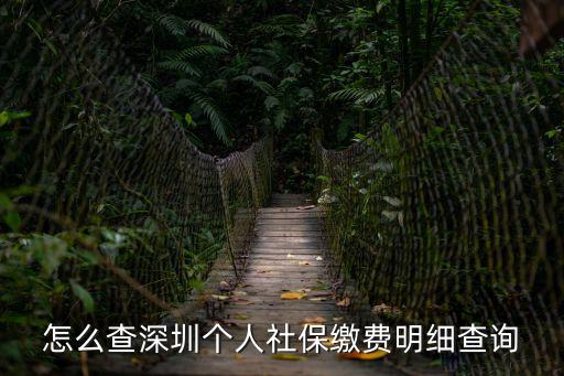 深圳市社會(huì)保險(xiǎn)基金管理,深圳社會(huì)保險(xiǎn)基金管理局網(wǎng)上預(yù)約辦理各項(xiàng)社保業(yè)務(wù)