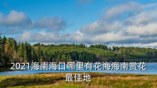 海口市花,中國各省市花市花圖示