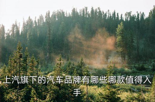 上汽旗下的汽車品牌有哪些哪款值得入手