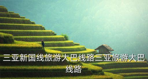 三亞新國線旅游大巴線路三亞旅游大巴線路