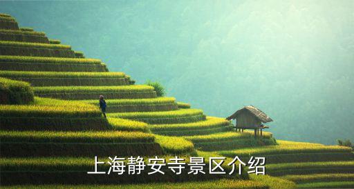靜安寺門票多少錢,上海靜安寺門票價格今天公布