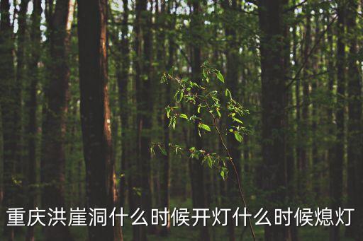 重慶洪崖洞什么時候開燈什么時候熄燈