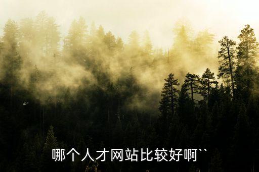 哪個人才網站比較好啊``