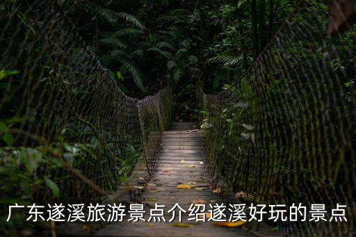 廣東遂溪旅游景點介紹遂溪好玩的景點