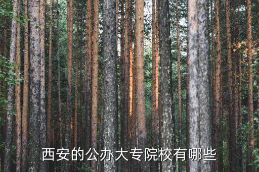 西安的公辦大專院校有哪些