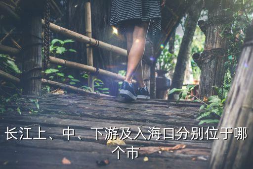 長江上、中、下游及入海口分別位于哪個市
