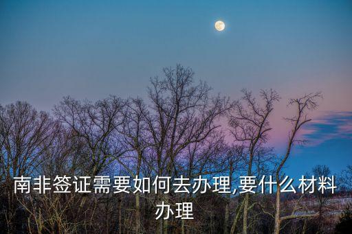 南非簽證需要如何去辦理,要什么材料辦理