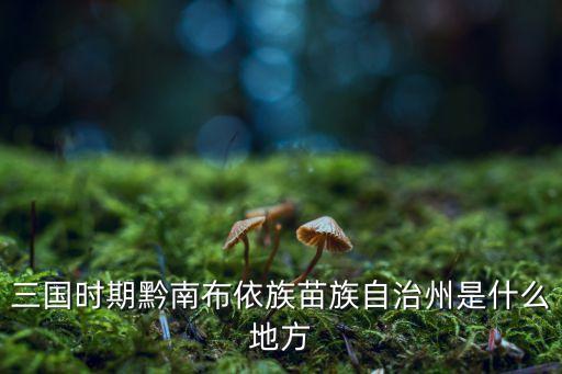 三國(guó)時(shí)期黔南布依族苗族自治州是什么地方