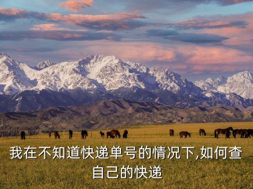 我在不知道快遞單號的情況下,如何查自己的快遞