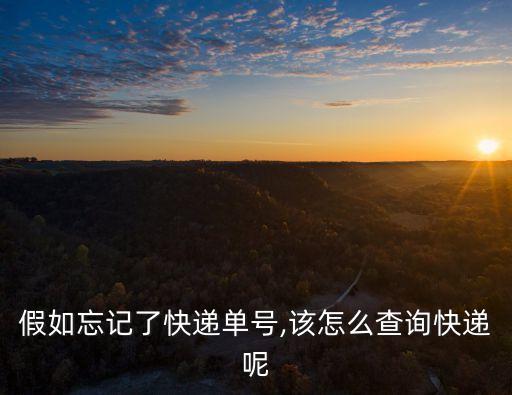 假如忘記了快遞單號,該怎么查詢快遞呢