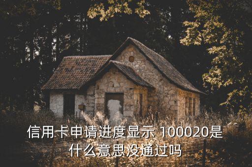 100020,我國信用卡申請進度顯示100020是什么意思?