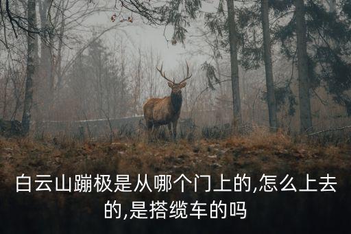 小蹦極,廣州白云山蹦極在哪里?