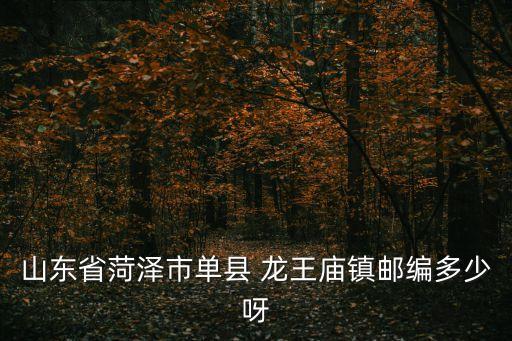 山東省菏澤市單縣 龍王廟鎮(zhèn)郵編多少呀