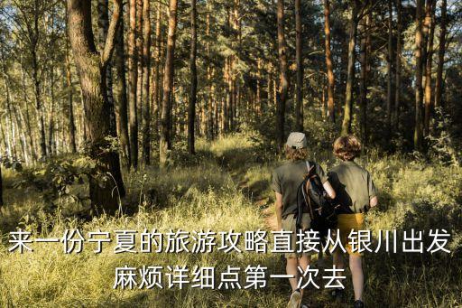 來一份寧夏的旅游攻略直接從銀川出發麻煩詳細點第一次去