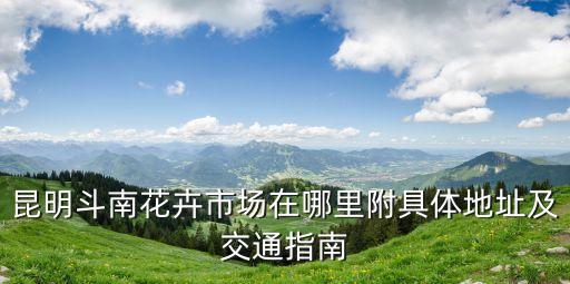 斗南花市,斗南花市幾點開市?