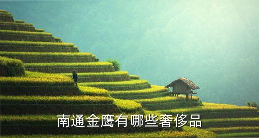 南通金鷹有哪些奢侈品