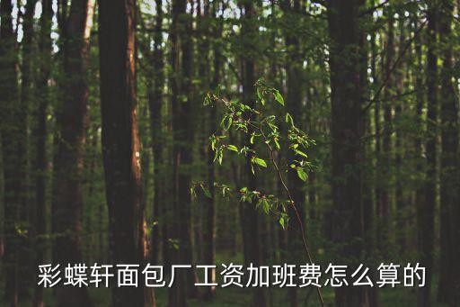  彩蝶軒面包廠工資加班費怎么算的