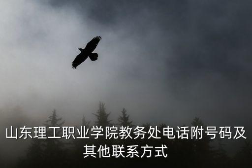 山東理工職業(yè)學(xué)院教務(wù)處電話附號(hào)碼及其他聯(lián)系方式