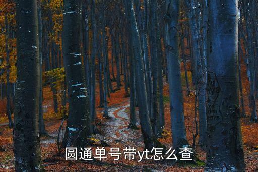 圓通快遞物流查詢,怎么查詢快遞單號?