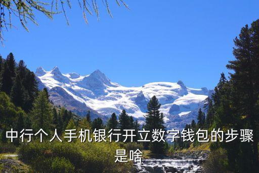 中行個人手機銀行開立數字錢包的步驟是啥