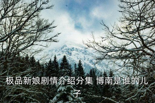 極品新娘劇情介紹分集 博南是誰的兒子
